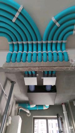 寵物服務行業廢氣治理 環保責任與綠色轉型之路